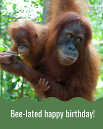 Funny Monkey  virtual Belated Birthday eCard greeting