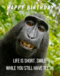 Life Is Short virtual Funny Birthday eCard greeting