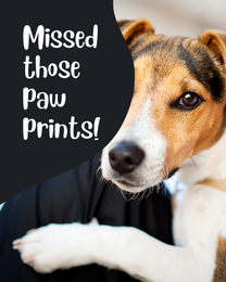 Paw Prints online Pet Sympathy Card
