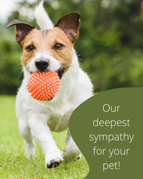 Deepest Love online Pet Sympathy Card | Virtual Pet Sympathy Ecard