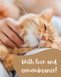With Love online Pet Sympathy Card
