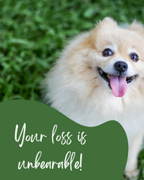 Unbearable online Pet Sympathy Card