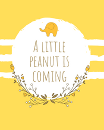 Little Peanut virtual Baby Shower eCard greeting