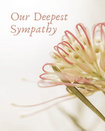 Our Deepest Comfort virtual Sympathy eCard greeting