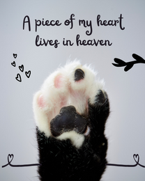 My Heart virtual Pet Sympathy eCard greeting