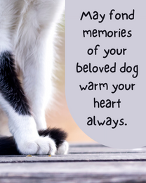 Fond Memories virtual Pet Sympathy eCard greeting