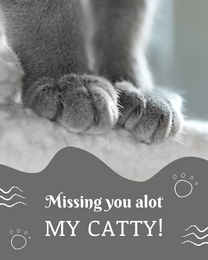 My Catty online Pet Sympathy Card