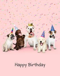 Cute Dogs virtual Birthday eCard greeting