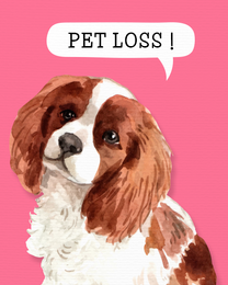 Pet Loss virtual Pet Sympathy eCard greeting