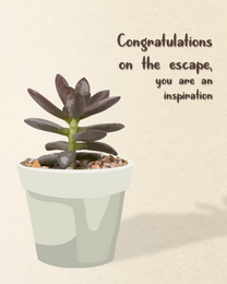 Escape Congrats virtual Good Luck eCard greeting