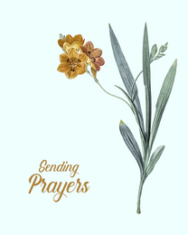 Flower online Sympathy Card | Virtual Sympathy Ecard