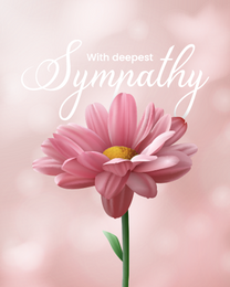 Flower online Sympathy Card | Virtual Sympathy Ecard