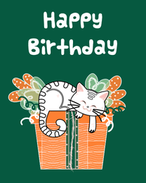 Cat Basket online Birthday Card