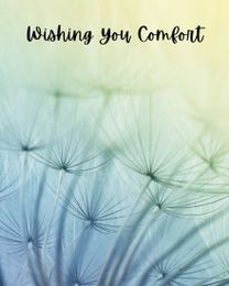 Wshing You Comfort online Sympathy Card | Virtual Sympathy Ecard