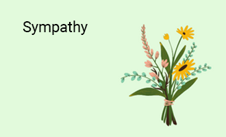 create Sympathy group cards