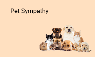 create Pet Sympathy group cards
