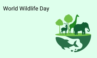 world wildlife day group greeting cards