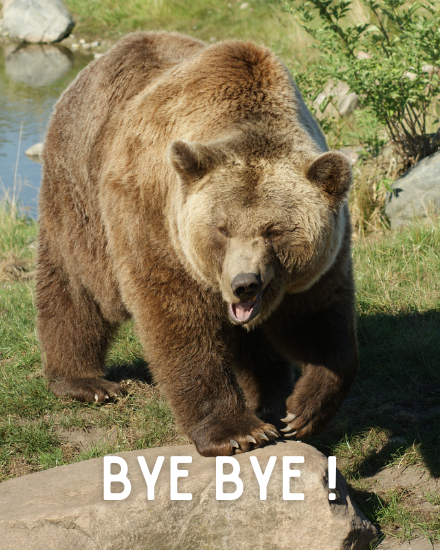 Huge Bear online Funny Leaving Card