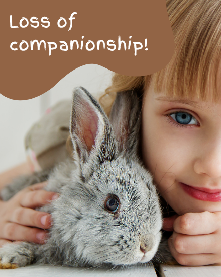 Companionship online Pet Sympathy Card