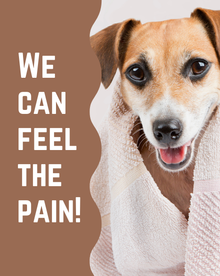 Feel Pain online Pet Sympathy Card