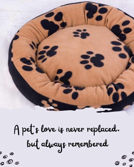 Love online Pet Sympathy Card