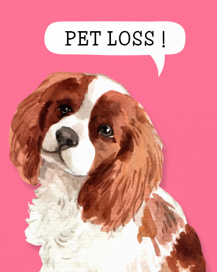 Pet Loss online Pet Sympathy Card