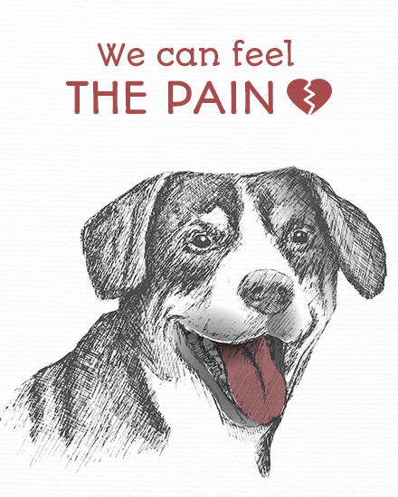 The Pain online Pet Sympathy Card