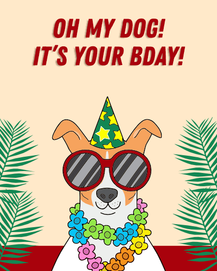 Dog Birthday online Funny Birthday Card