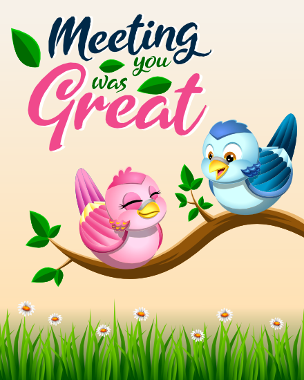 Cute Birds online Nice Meeting You Card