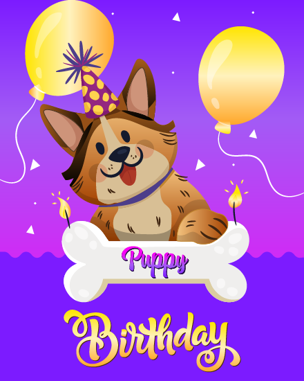 Cute Puppy online Dog Birthday Card